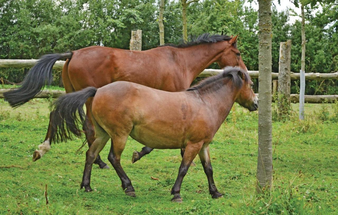 Gite De La Lombardie Lottinghen Bagian luar foto